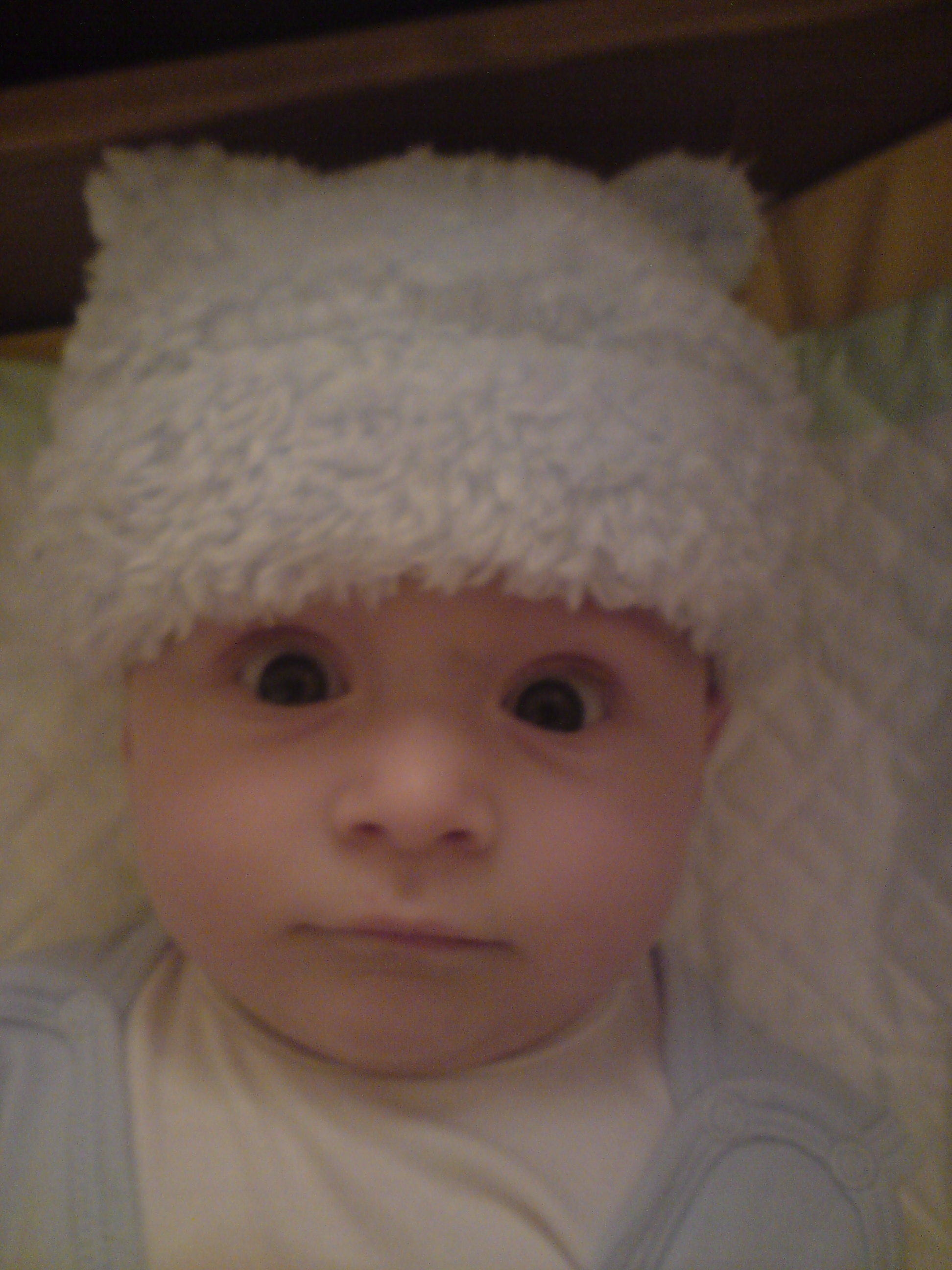 DSC03204.JPG