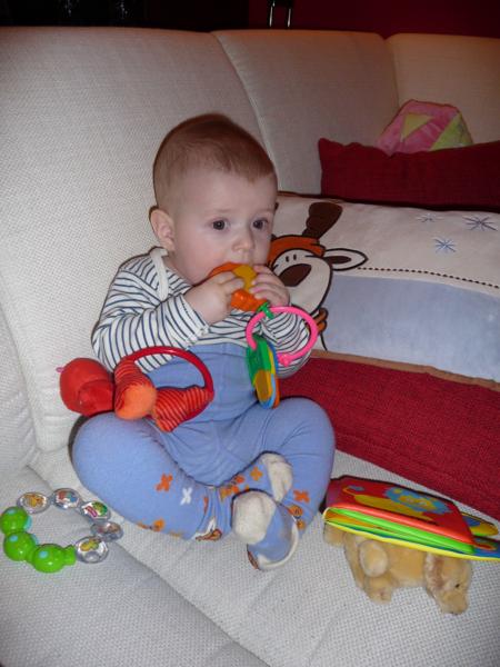 P1020773_450x600.JPG